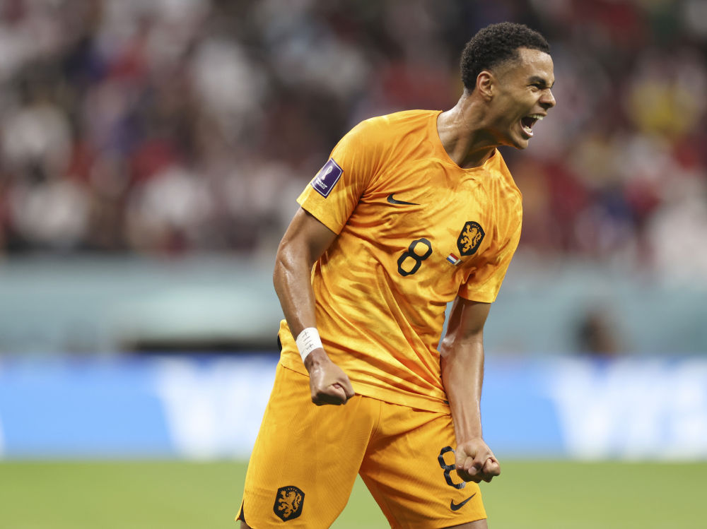 荷兰队豪取胜利,晋级几乎确定 荷兰队豪取胜利,晋级几乎确定