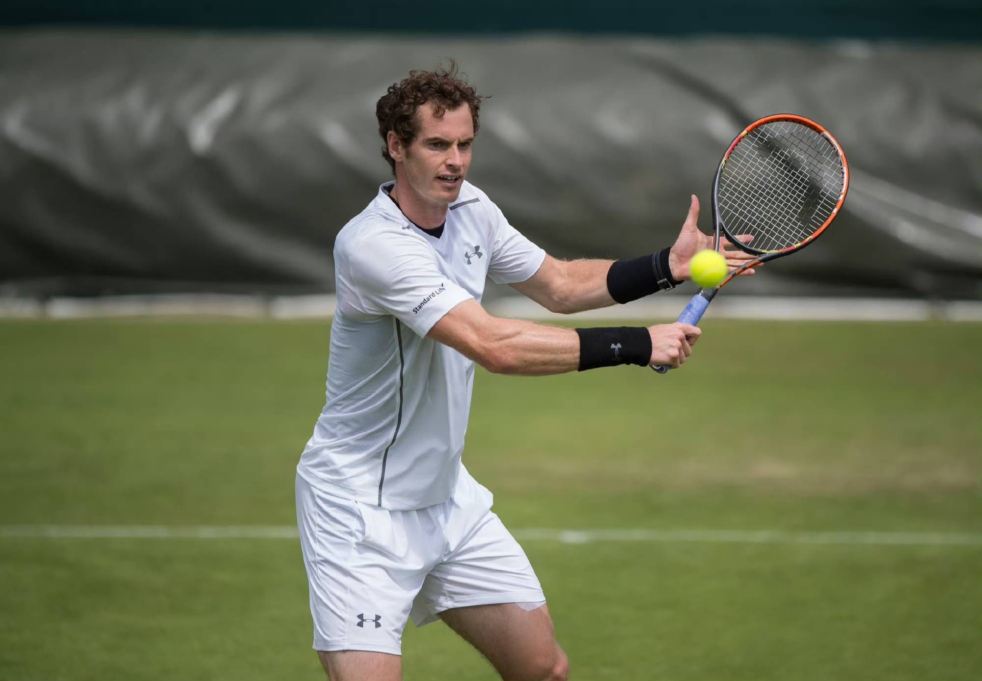 法网险胜温网,穆雷刷新纪录的简单介绍 法网险胜温网,穆雷刷新纪录的简单介绍