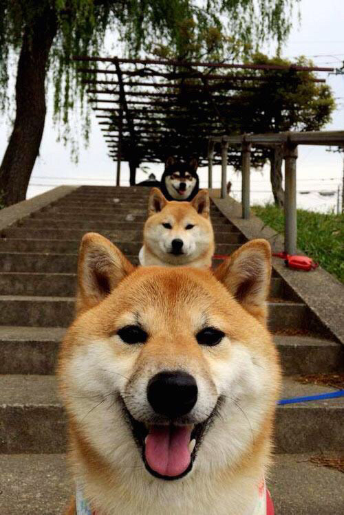 双城记，在米兰的绝杀之夜与洛杉矶的逆转狂潮中，我们共享同一种体育心跳