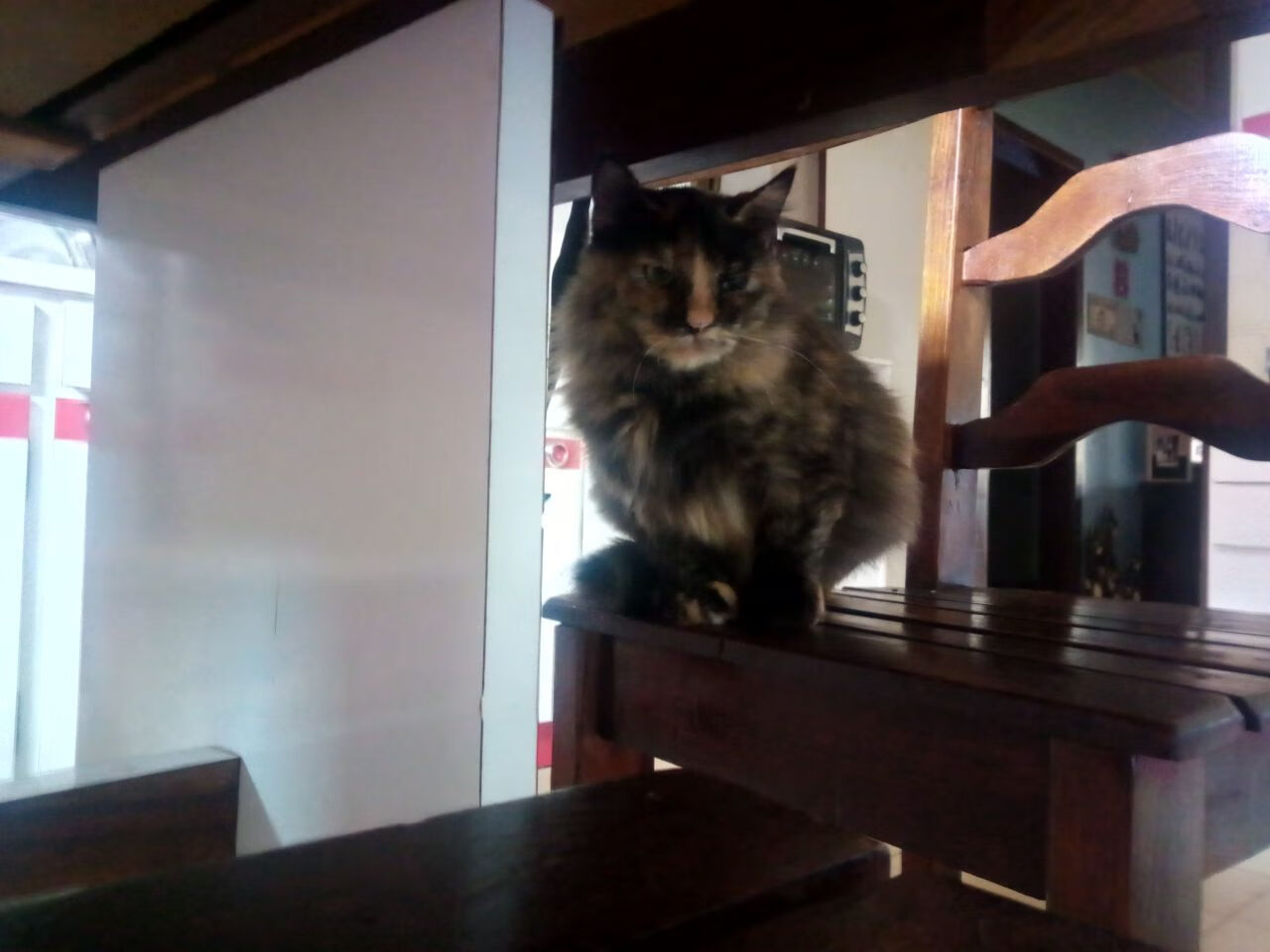 双城记，当加拿大冰川节奏冻结拜仁的巴伐利亚引擎