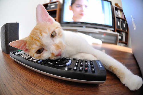 跨洋关键战,福克斯独闯龙潭定乾坤