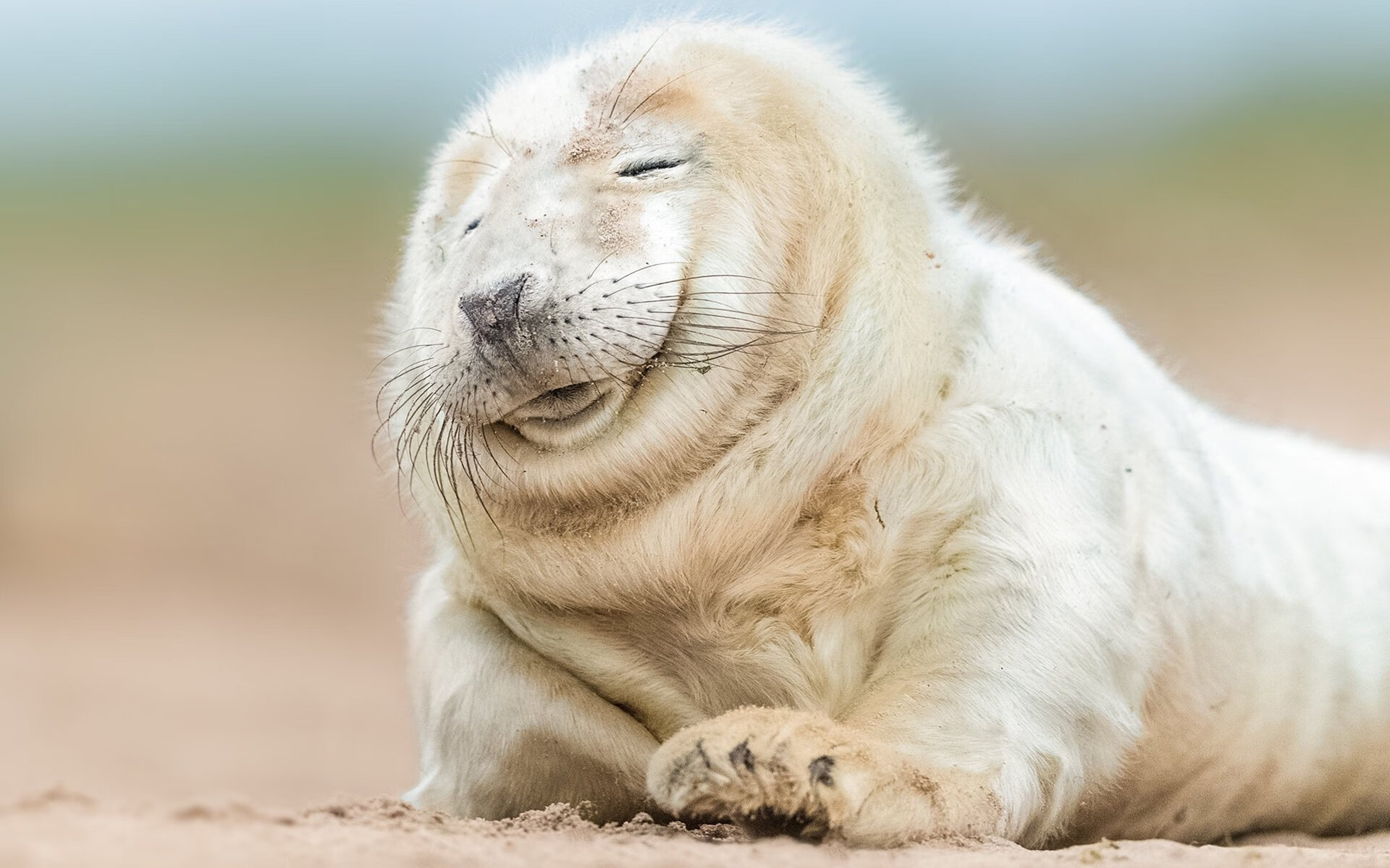 开云体育登录-F1午夜魔咒,巴雷拉在赛道刀锋上持续制造杀伤