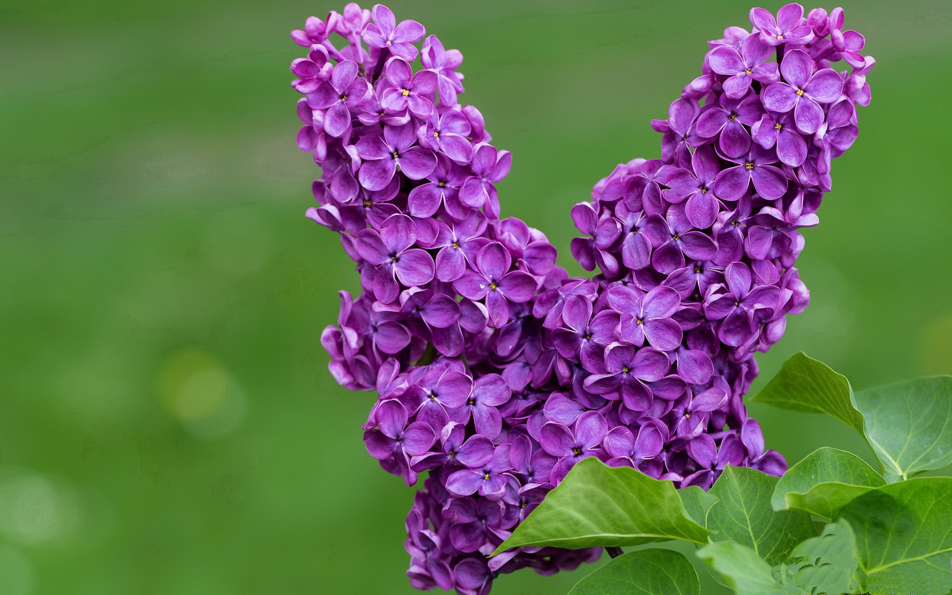 开云体育APP下载-抢七夜的叹息之墙,金玟哉25次解围改写历史,他被对手后卫称为无法理解的存在