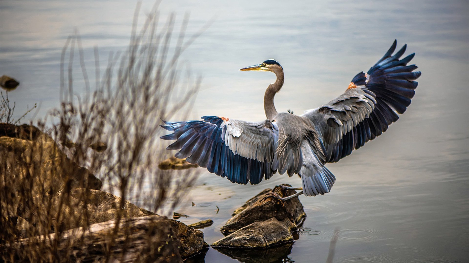 开云体育官网-双重接管,从猛龙末节风暴到F1终极直道,个人英雄主义如何定义团队运动的终极时刻