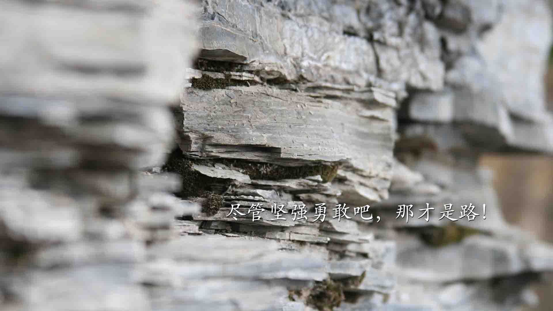 当东方长城遇上美洲鹰,布克用37分击碎所有质疑