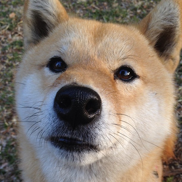 双塔奇谋,塔图姆惊天爆发背后的黄蜂精密战术如何锁死浙江?